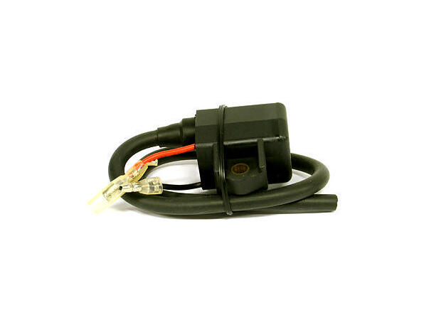 Coil - Polaris OEM: 3084469 